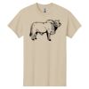 Heavy Cotton 100% Cotton T Shirt Thumbnail
